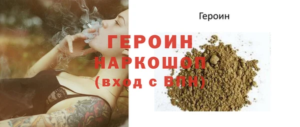 гидра Богородск