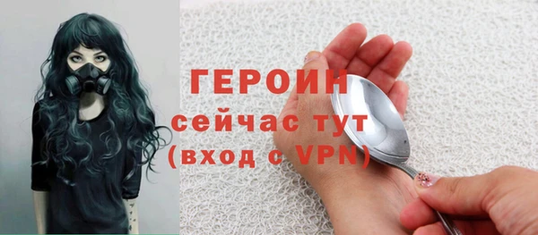 гидра Богородск