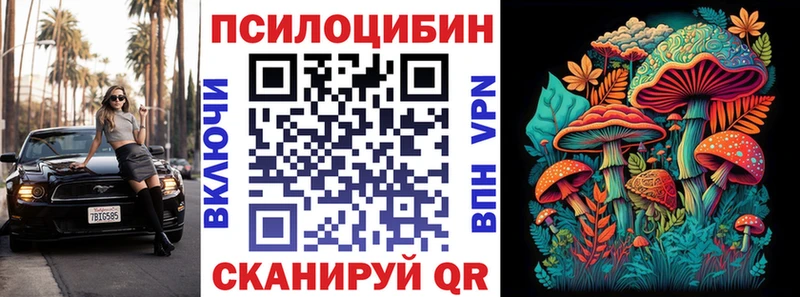 KRAKEN зеркало  Гаджиево  Галлюциногенные грибы прущие грибы  площадка Telegram  закладки 